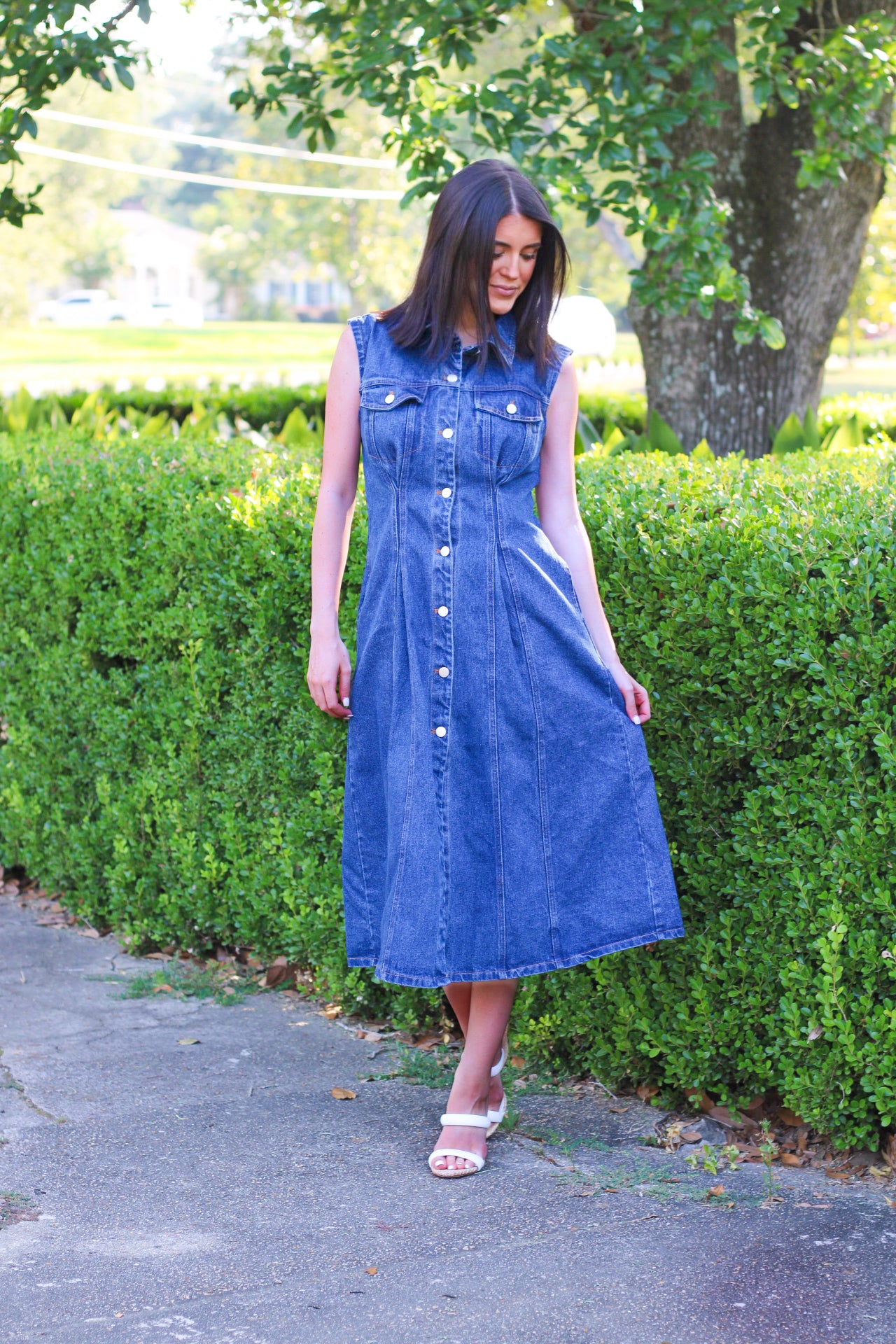 Demur Denim Dress