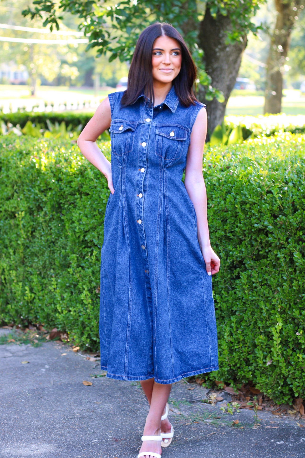 Demur Denim Dress