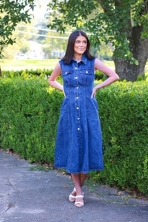 Demur Denim Dress